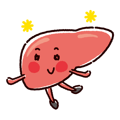 illustkun-04455-liver.png