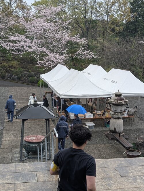 PXL_20260404_010739416.jpgのサムネイル画像