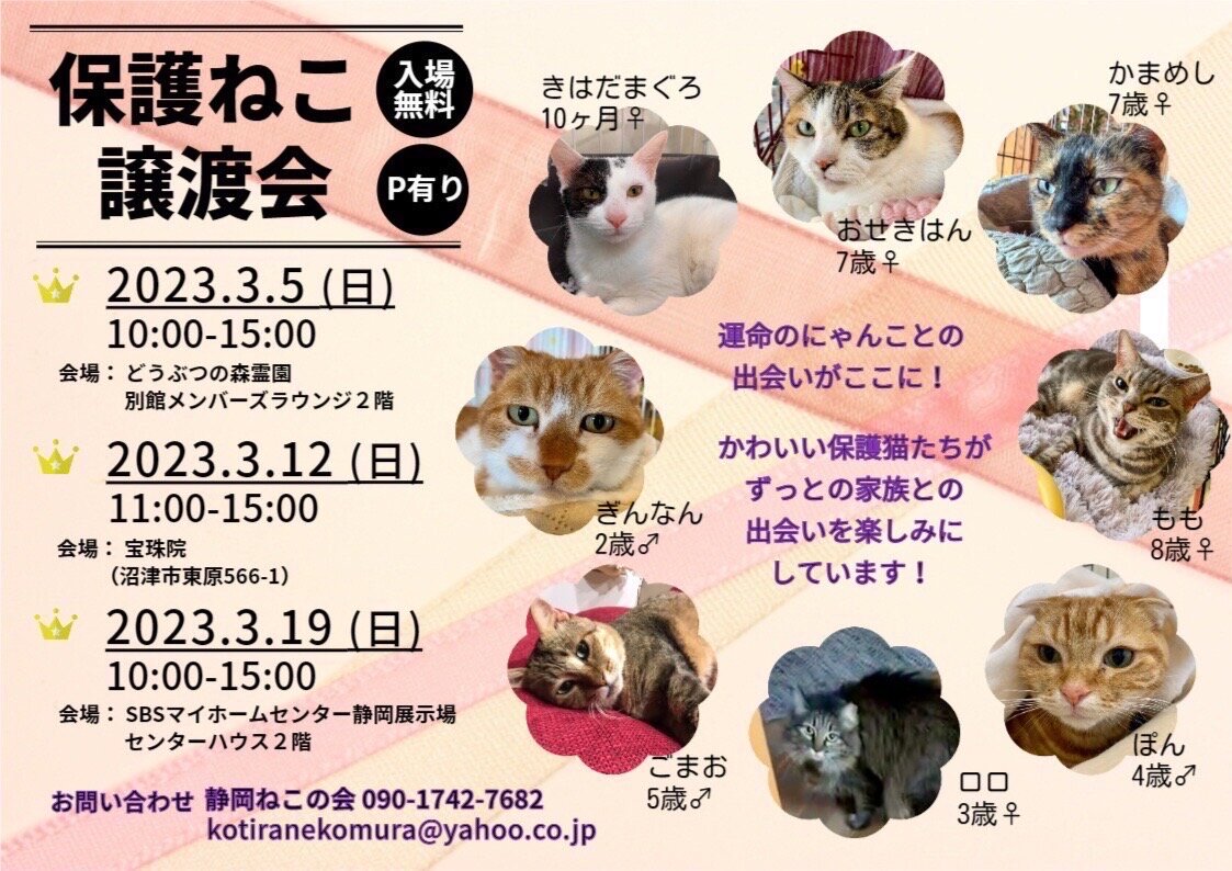 『保護ねこ譲渡会』inサトヤマ寺ス